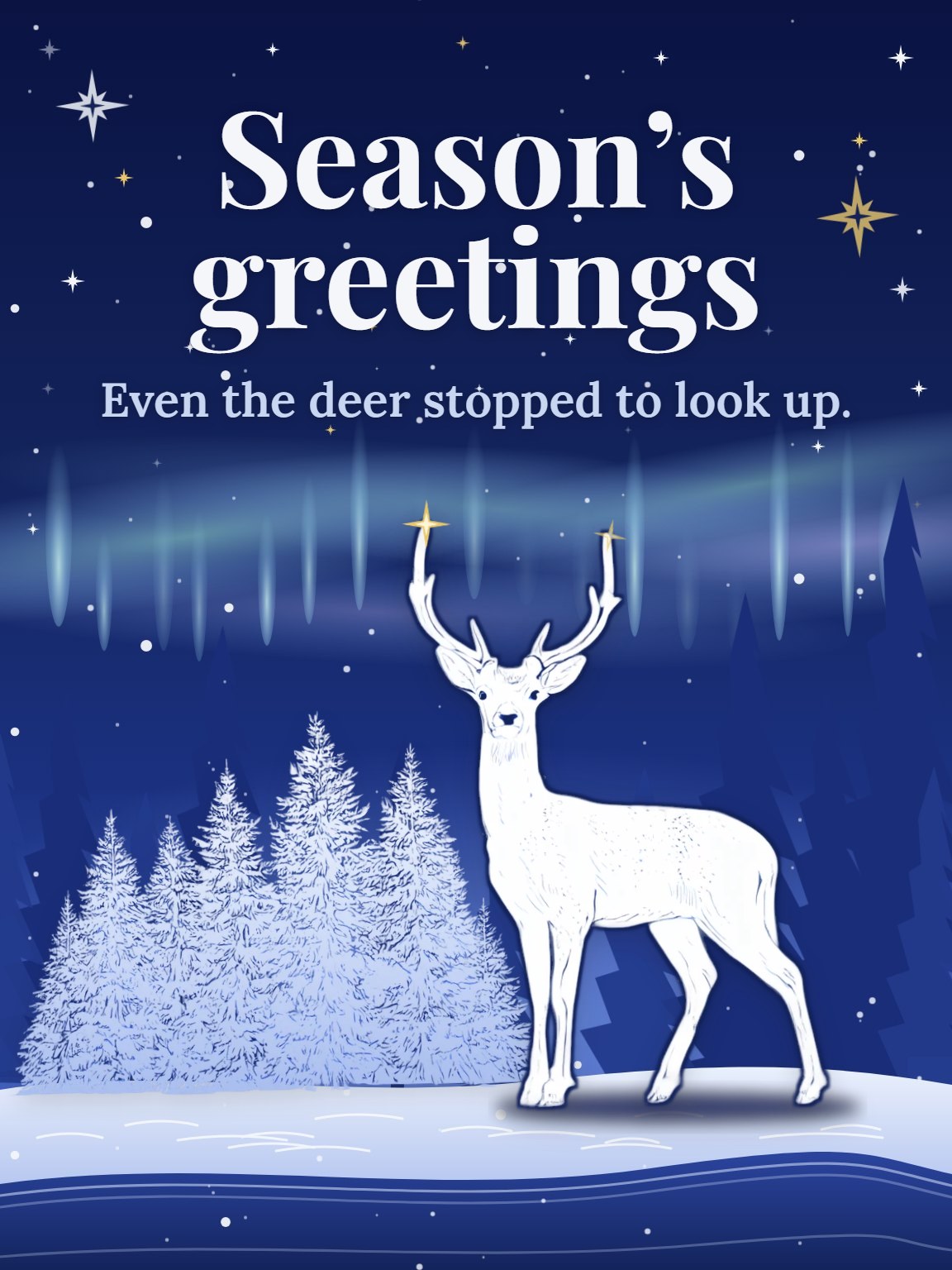 Indigo Pines Christmas Card
