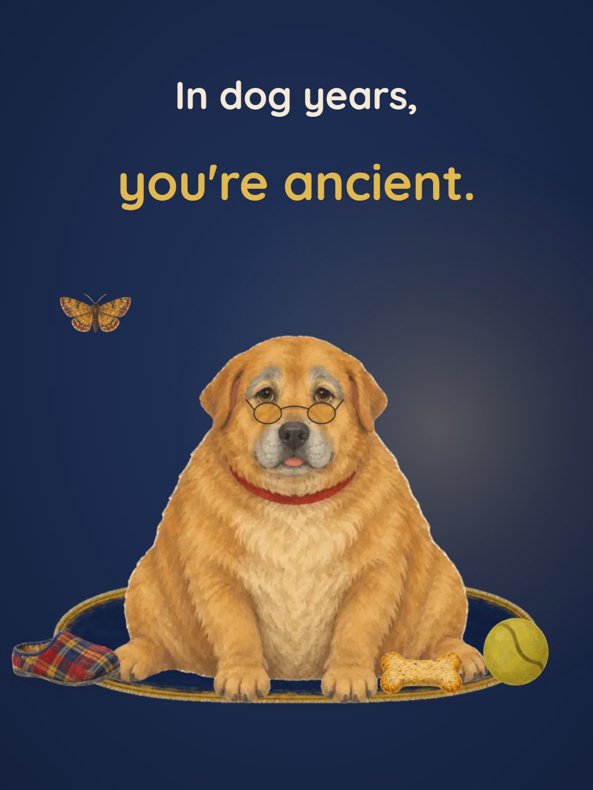 In Dog Years Funny Birthday Card