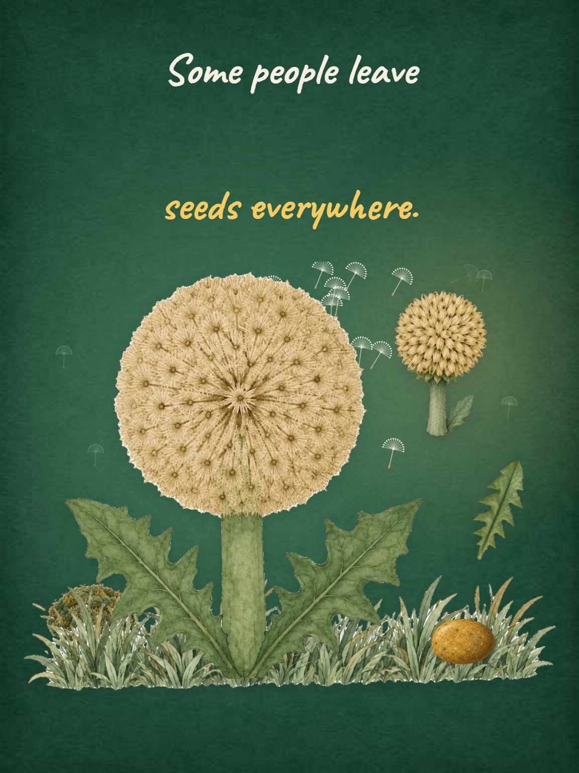 Seeds Everywhere Remembrance Card