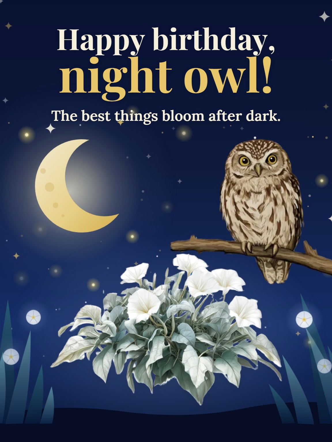 Midnight Garden Birthday Card