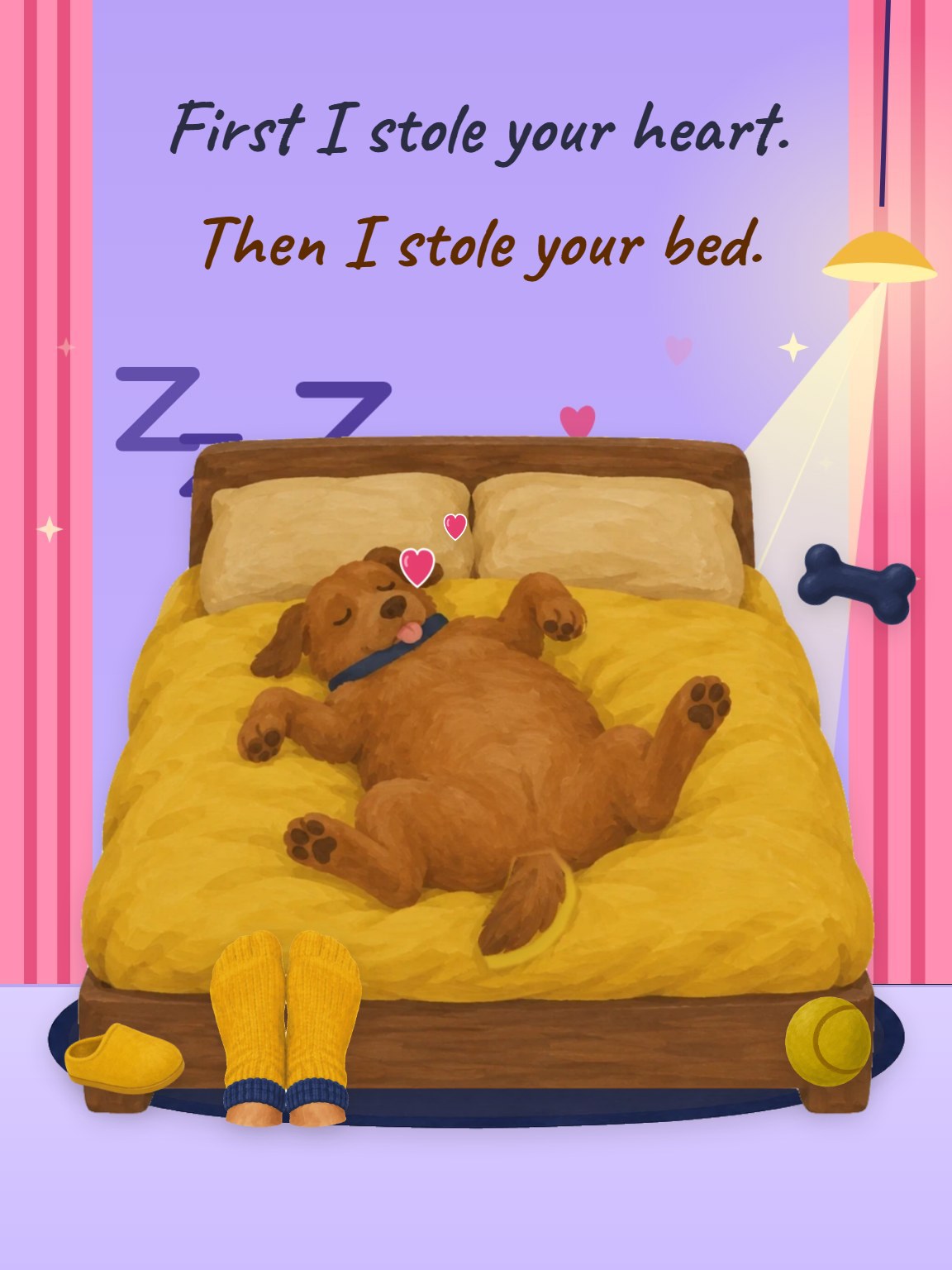Stole Your Bed Funny Valentine's Day Card