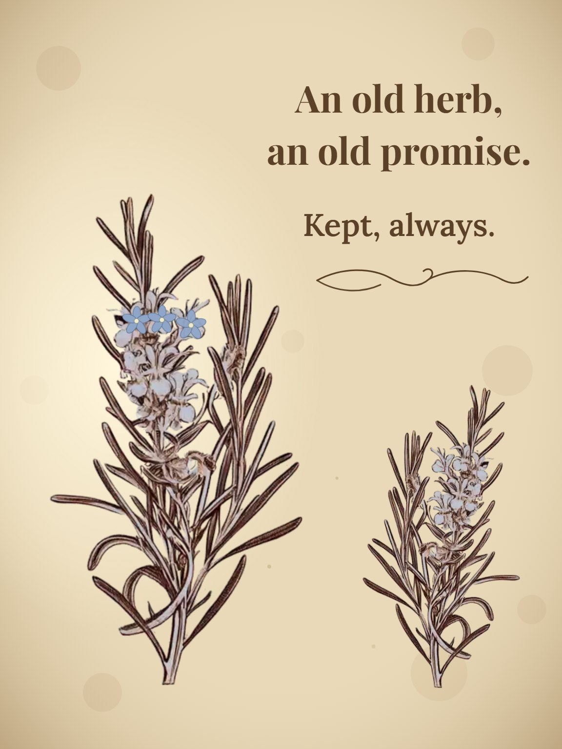 Rosemary for Remembrance Card
