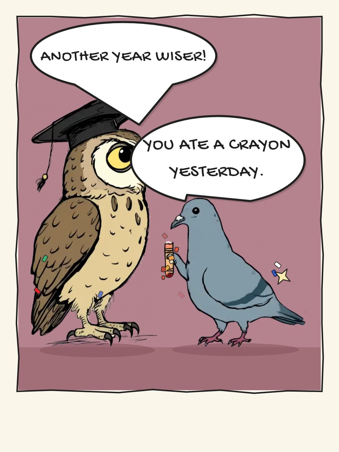 Another Year Wiser Funny Birthday Card