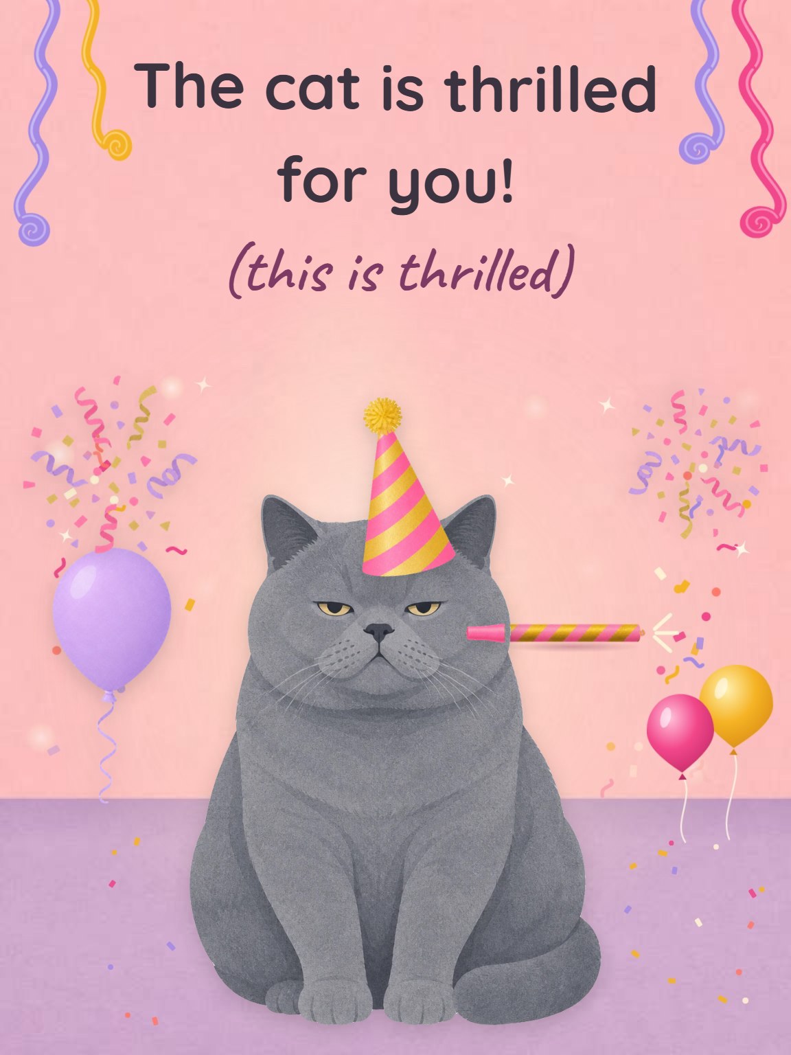 The Cat Is Thrilled Funny Birthday Card