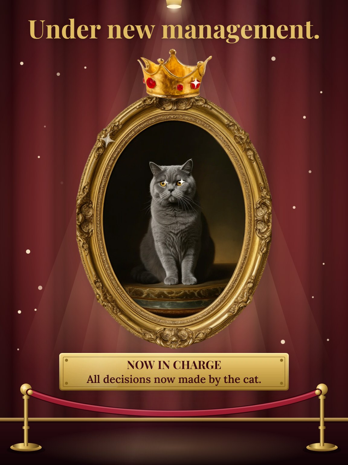 The New Management New Pet Card