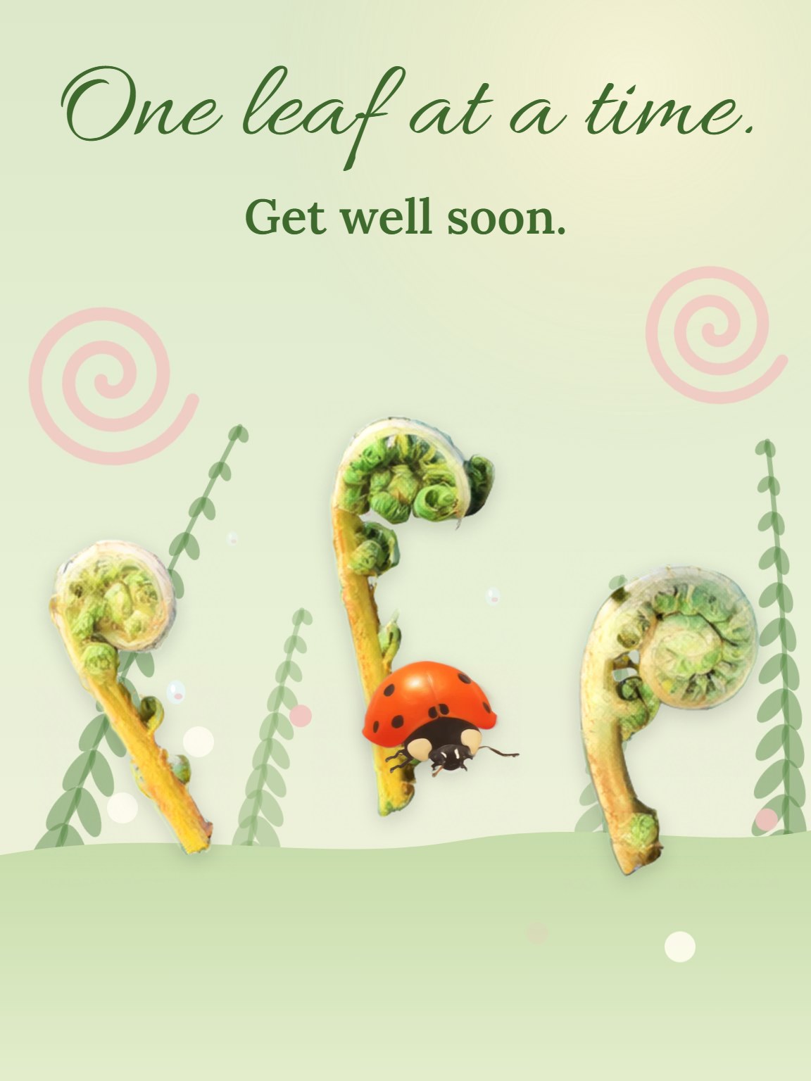 Fiddleheads Unfurling Get Well Card
