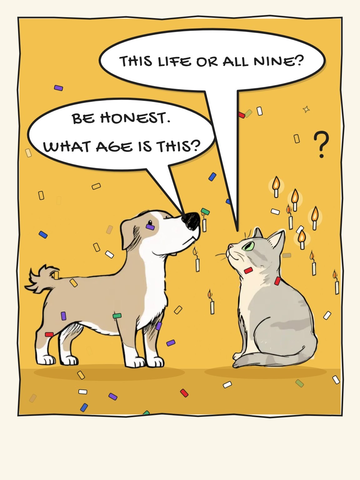 All Nine Funny Birthday Card