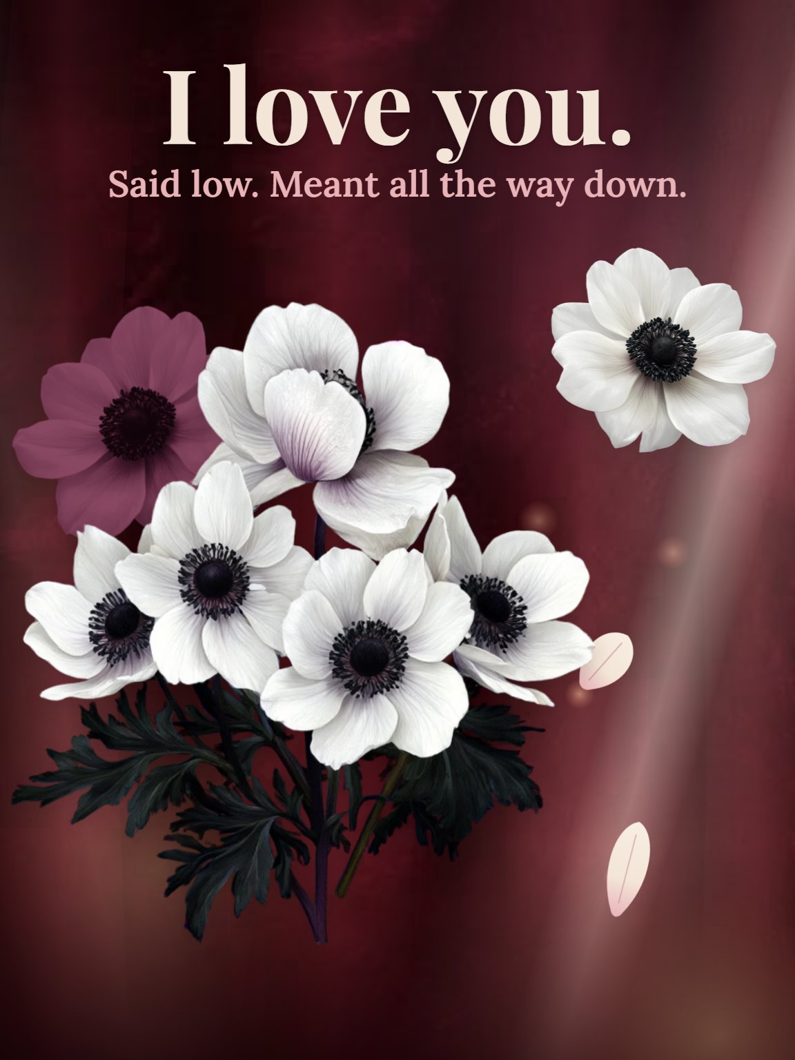 Velvet Anemones Love Card