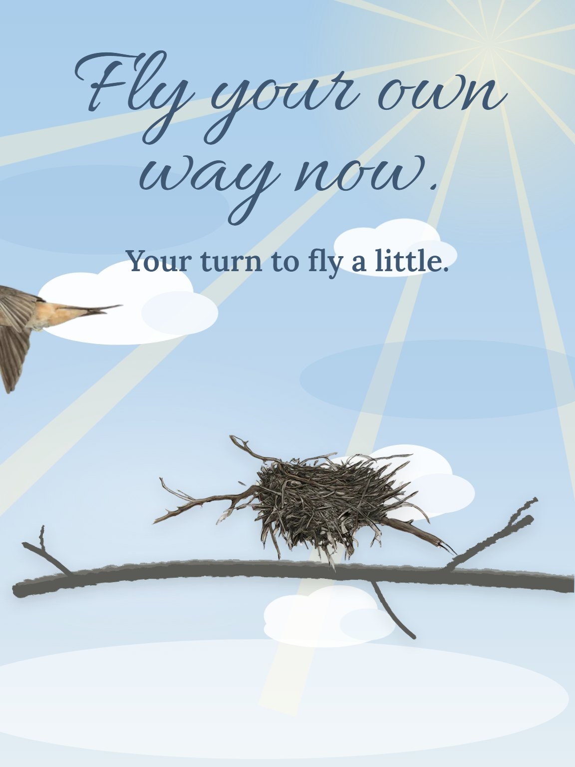 Open Sky, Empty Nest Card