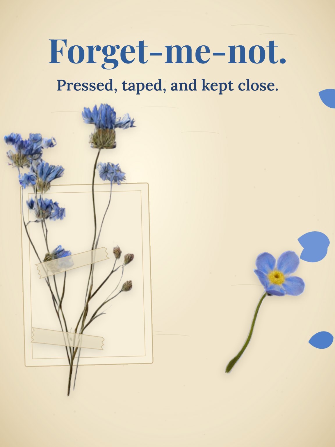 Pressed Forget-Me-Nots Miss You Card