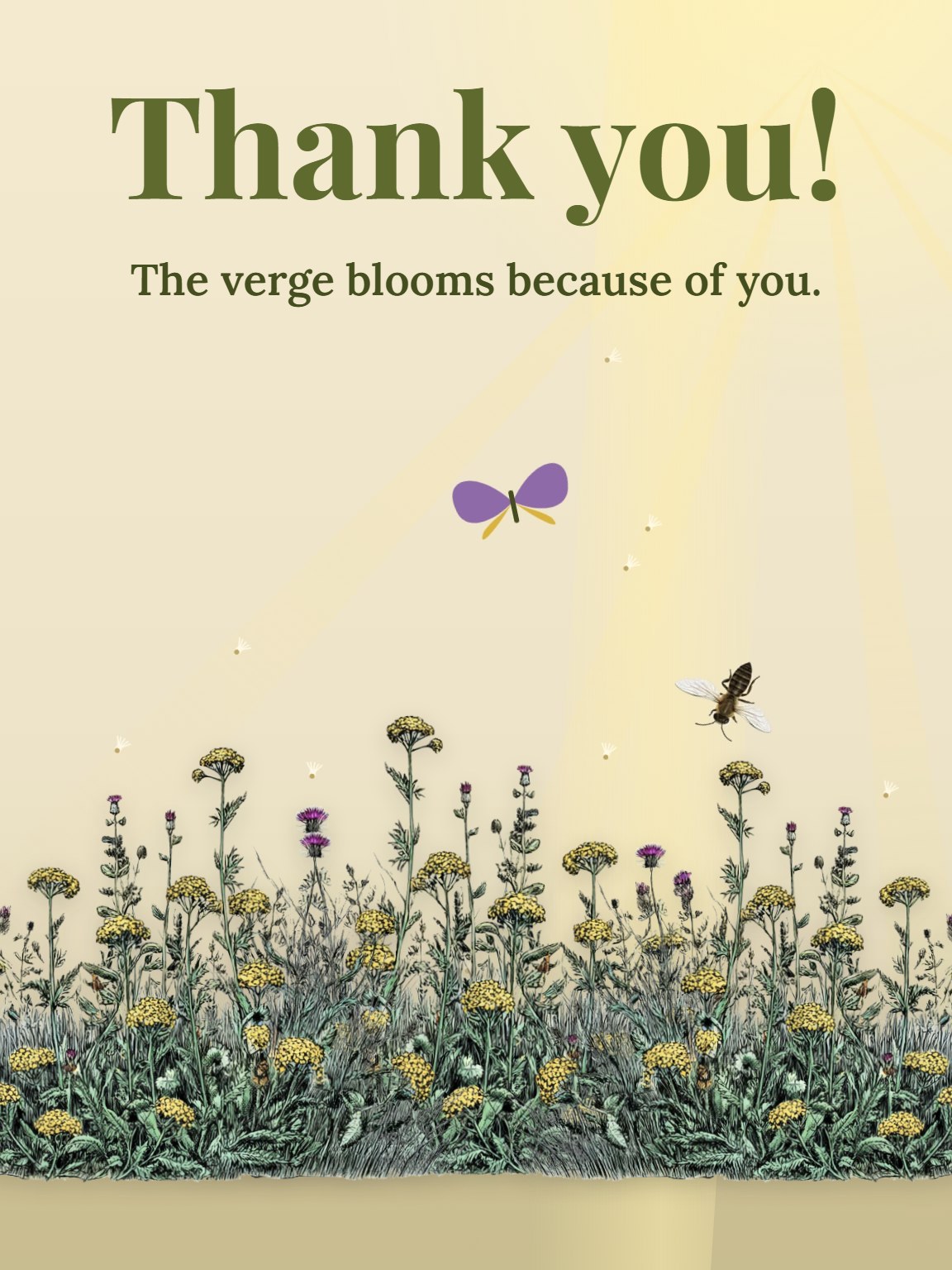Wildflower Verge Volunteer Thank You Card