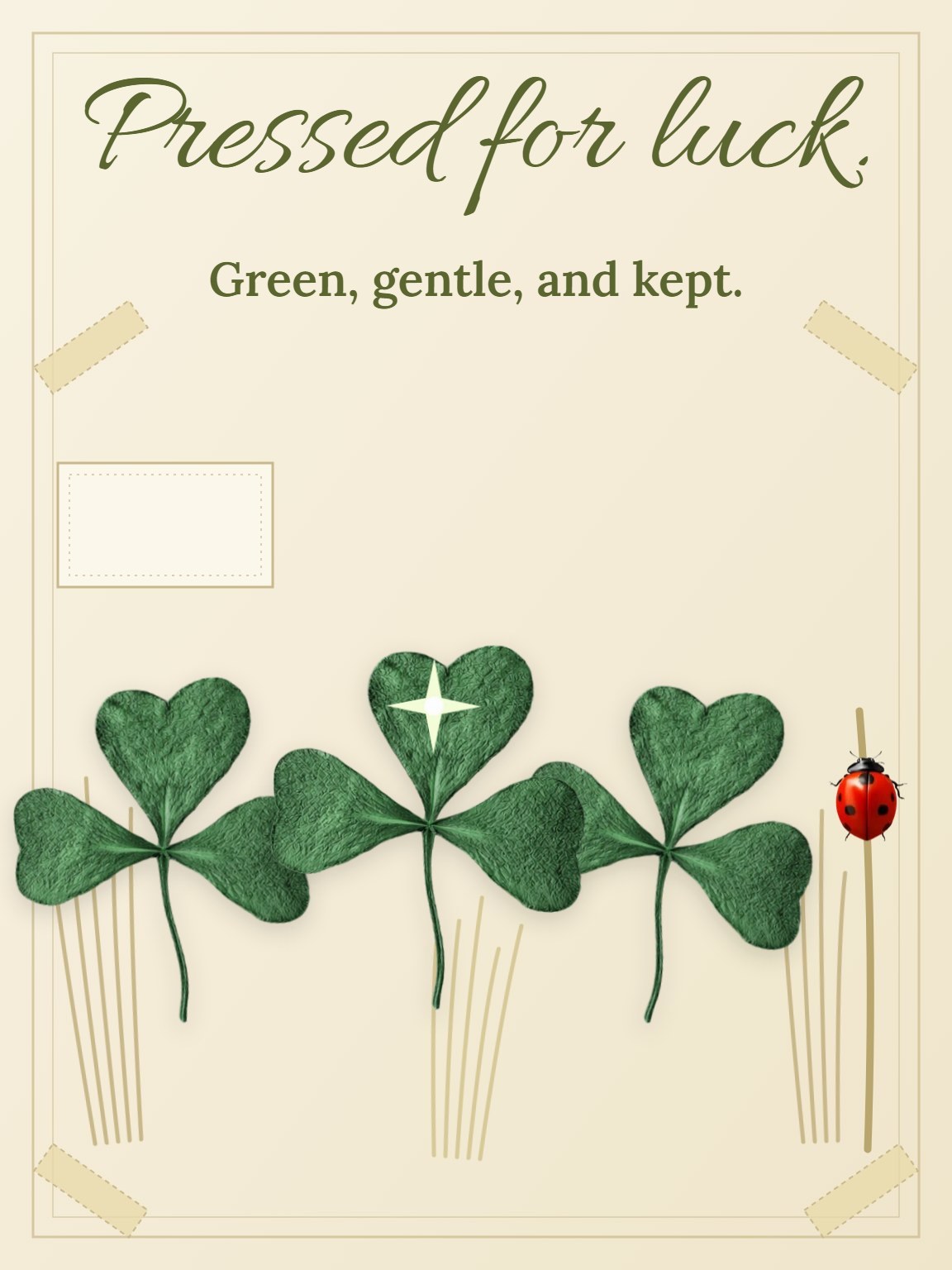 Pressed Shamrock Plate St. Patrick's Day Card