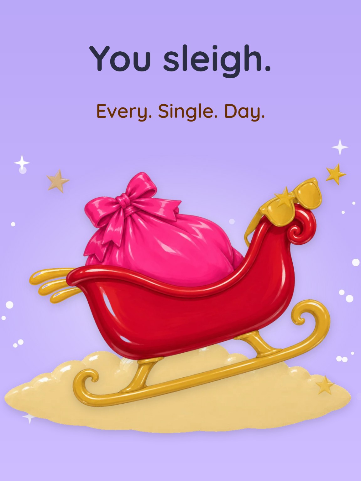 You Sleigh Funny Christmas Card